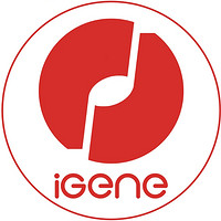 igene/击音